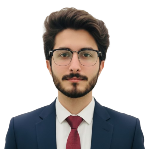 Ameer Hamza